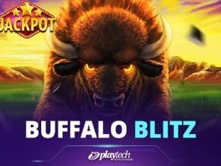 Buffalo Blitz screenshot